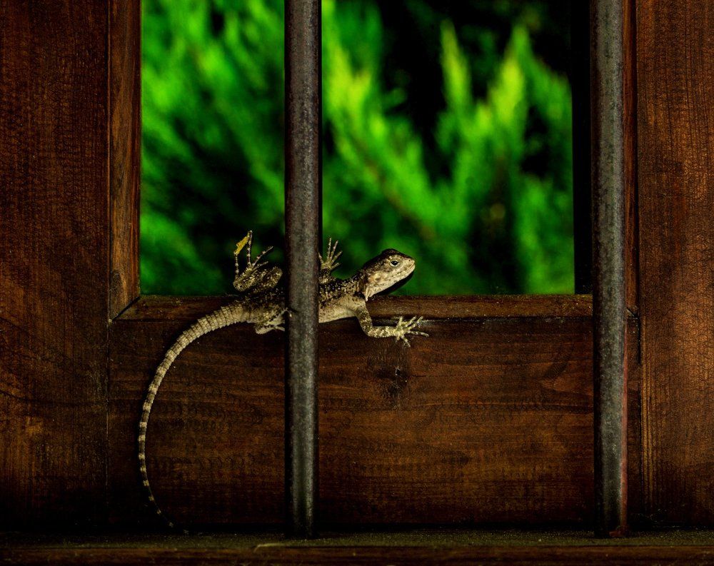 За решёткой