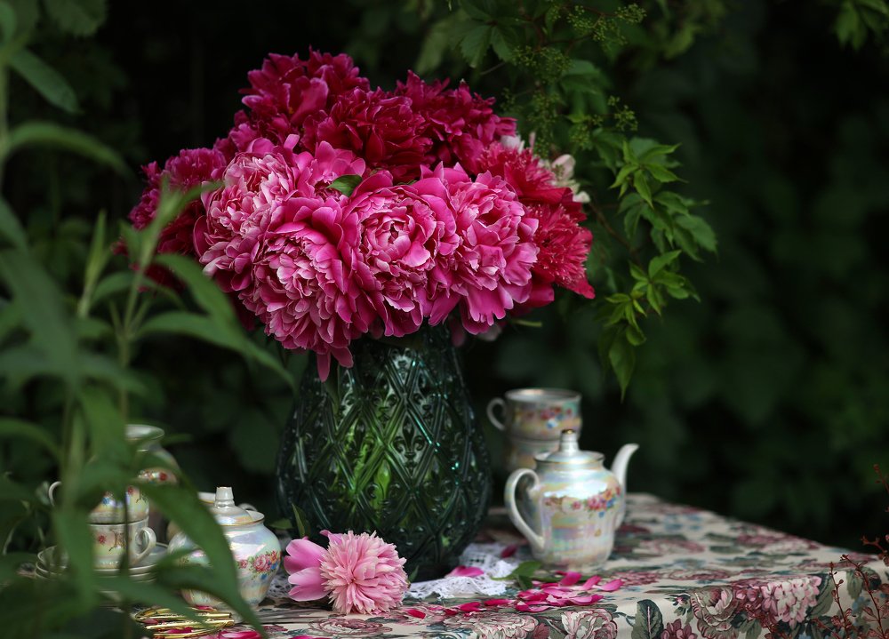 Букет темно-розовых пионов