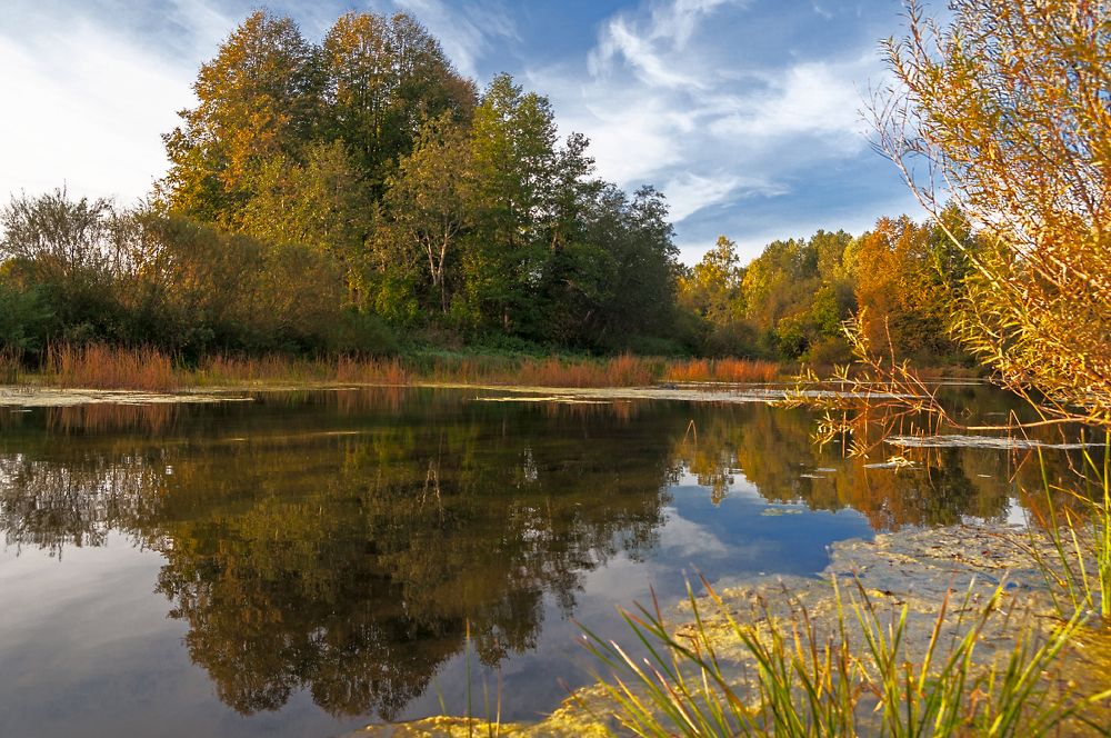 Photograph by Александр Григорьев-Ершов