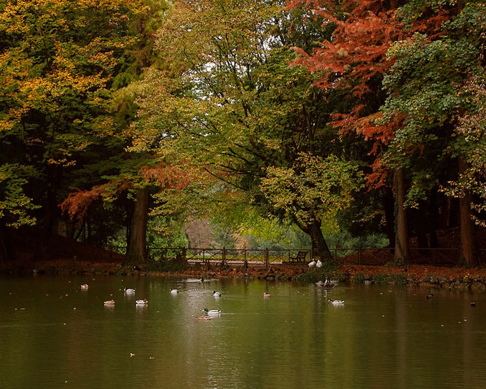 Осень в парке
