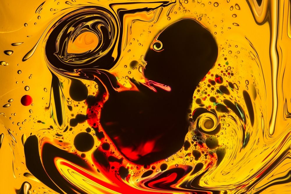 The womb