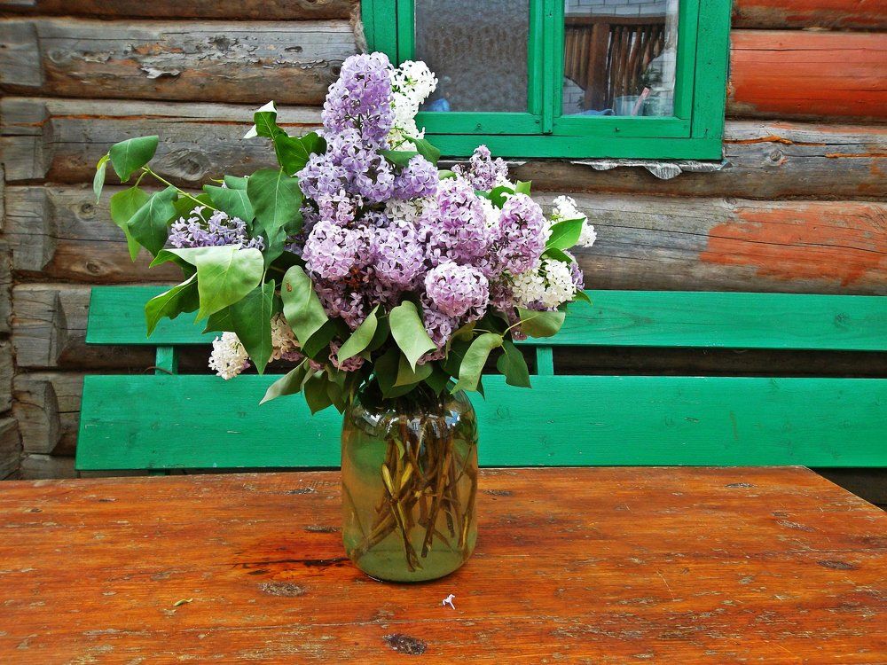 Photograph by Наталья Цуран