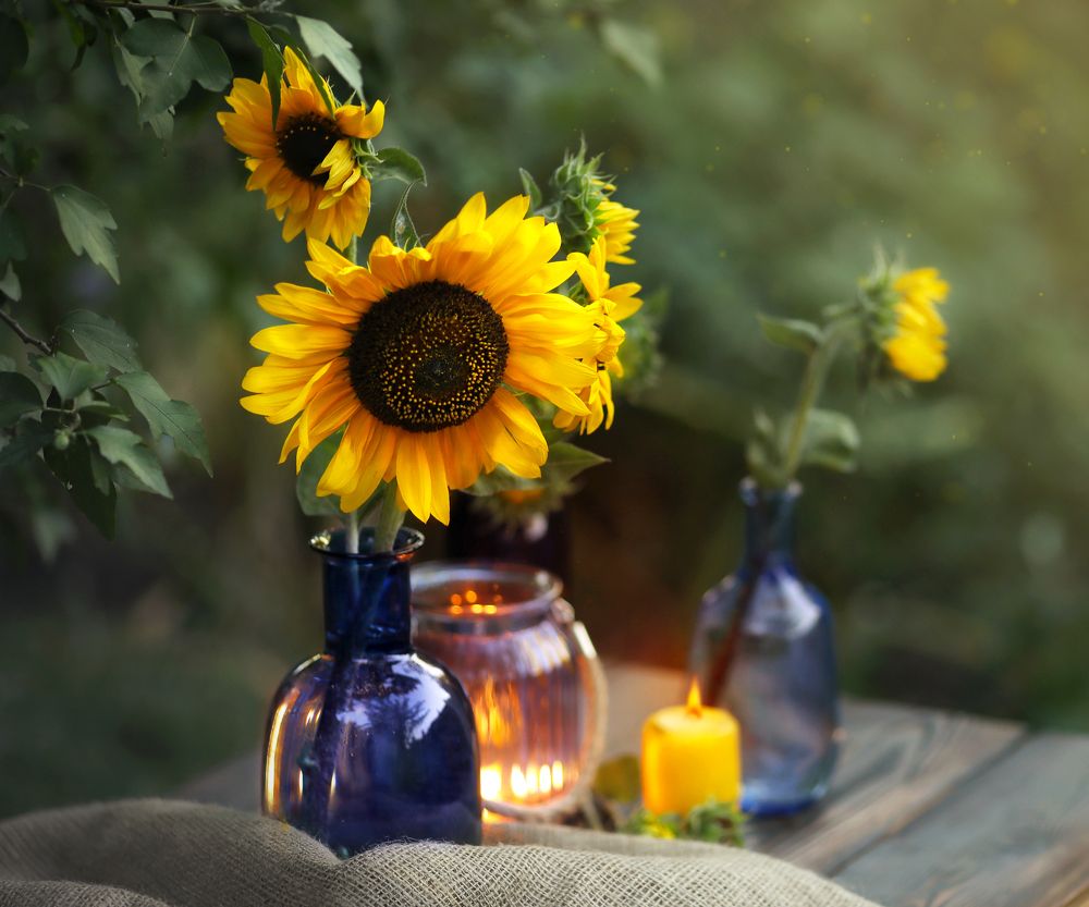 Подсолнухи в синих вазах