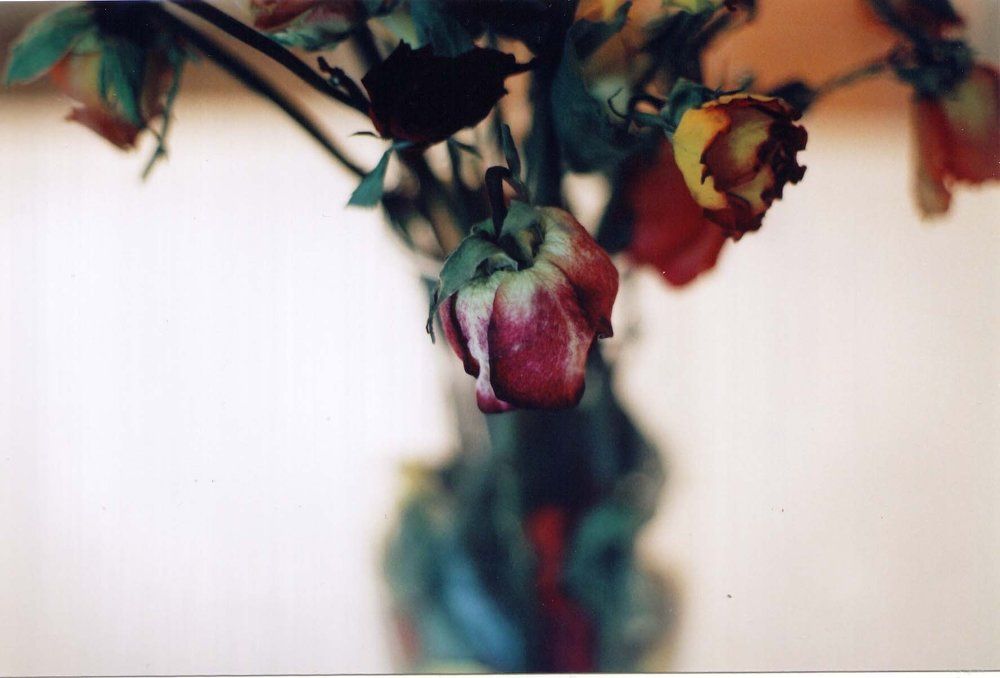 Photograph by Mahdieh Katouzian -