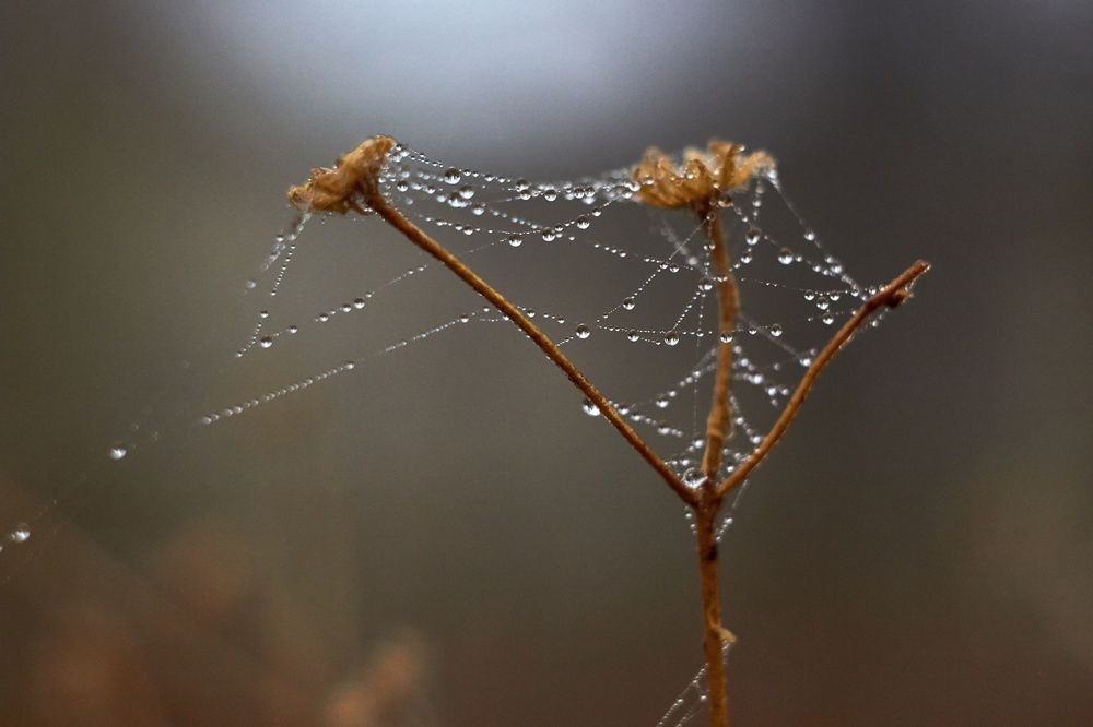 Photograph by Евгений Лобойко