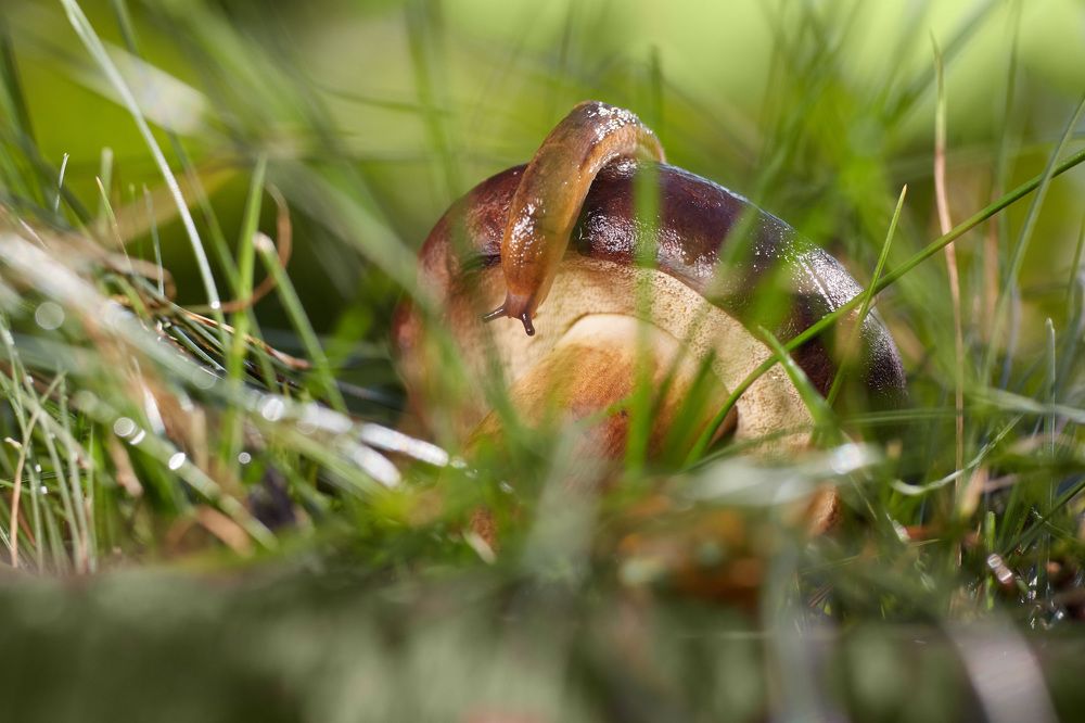 Photograph by Александр Кобелюк