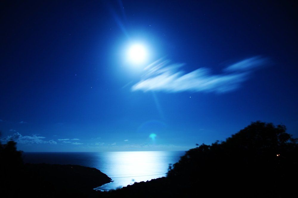 Tropical Night Sky