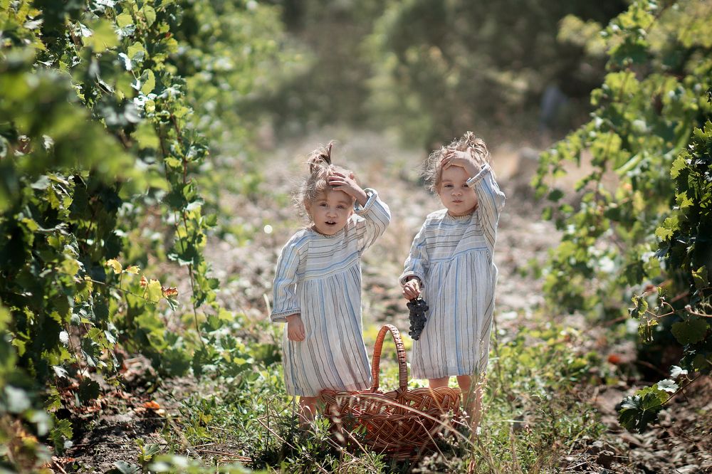 Photograph by Дина Змушко