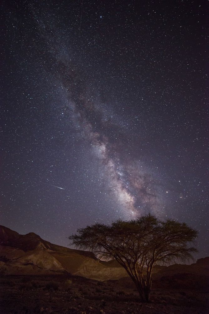 «And With The Millions Of Stars We'll Will Never Be Alone»