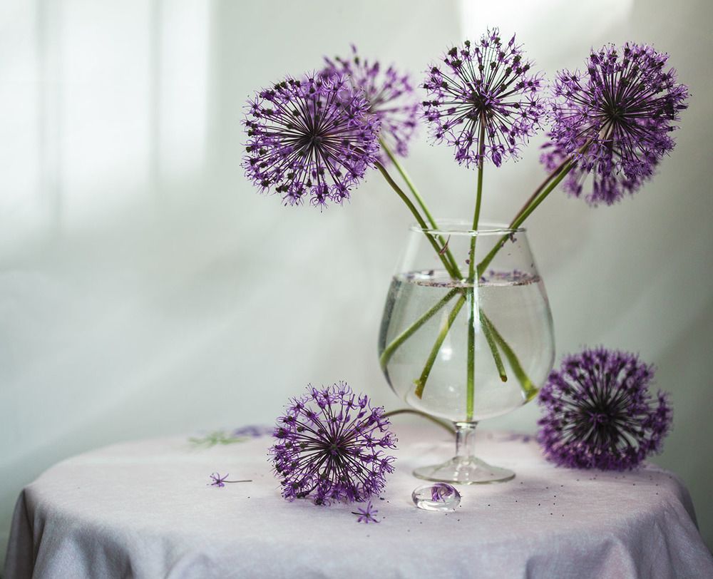 Сиреневое настроение