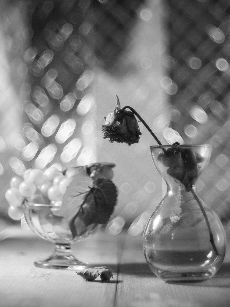 Засохшая роза и виноград