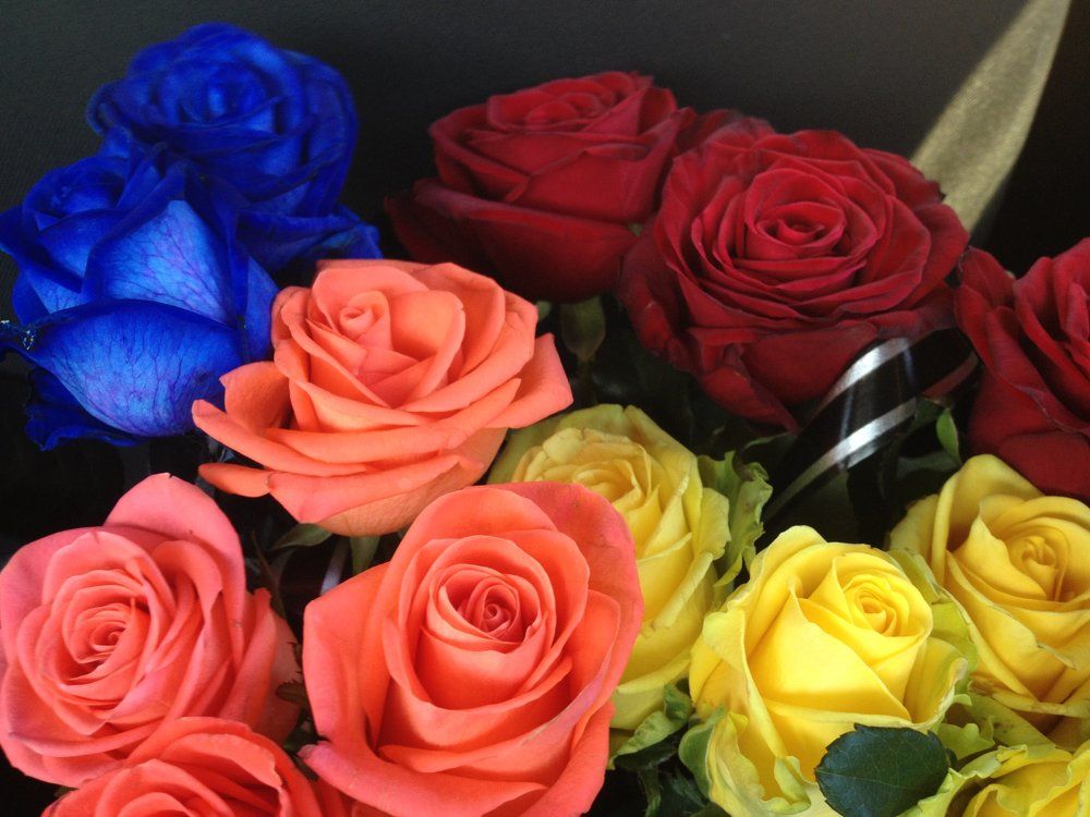 Редкие цвета)