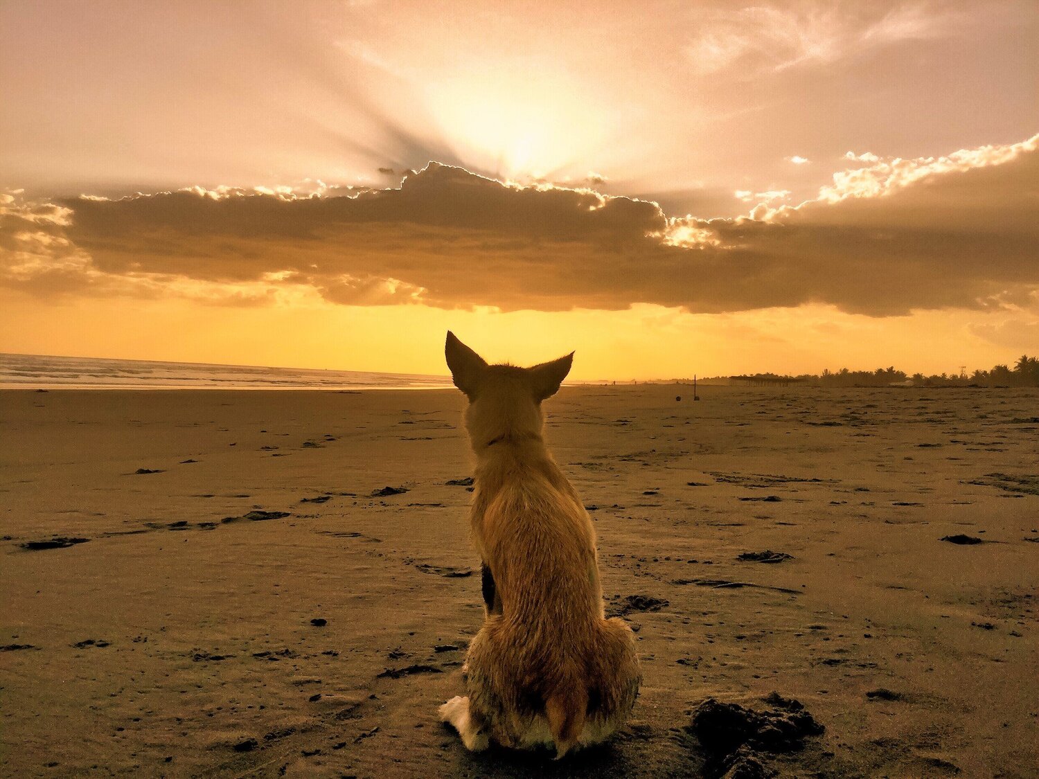 Who can resist the beauty of a sunset?
