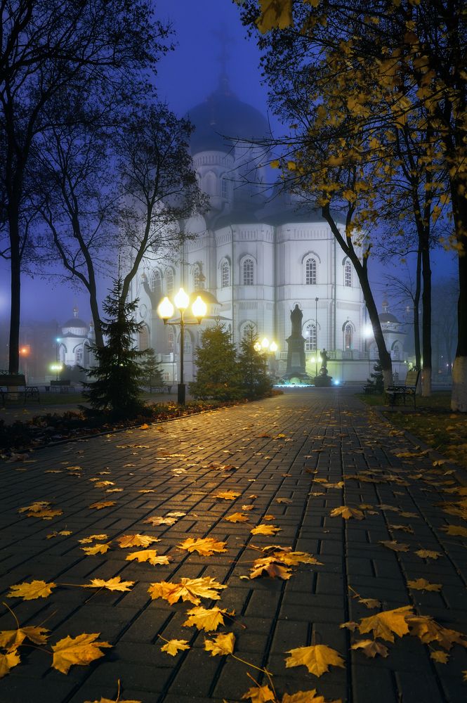 Благовещенский кафедральный собор в тумане