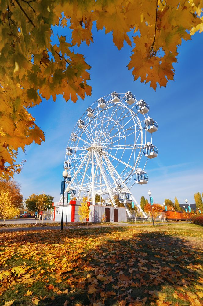 Золото осени