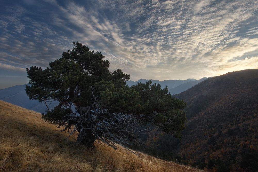 Бывает проснешься, а тут осень...