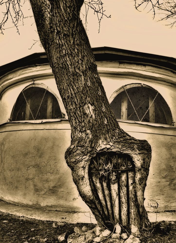 Широко открытые глаза