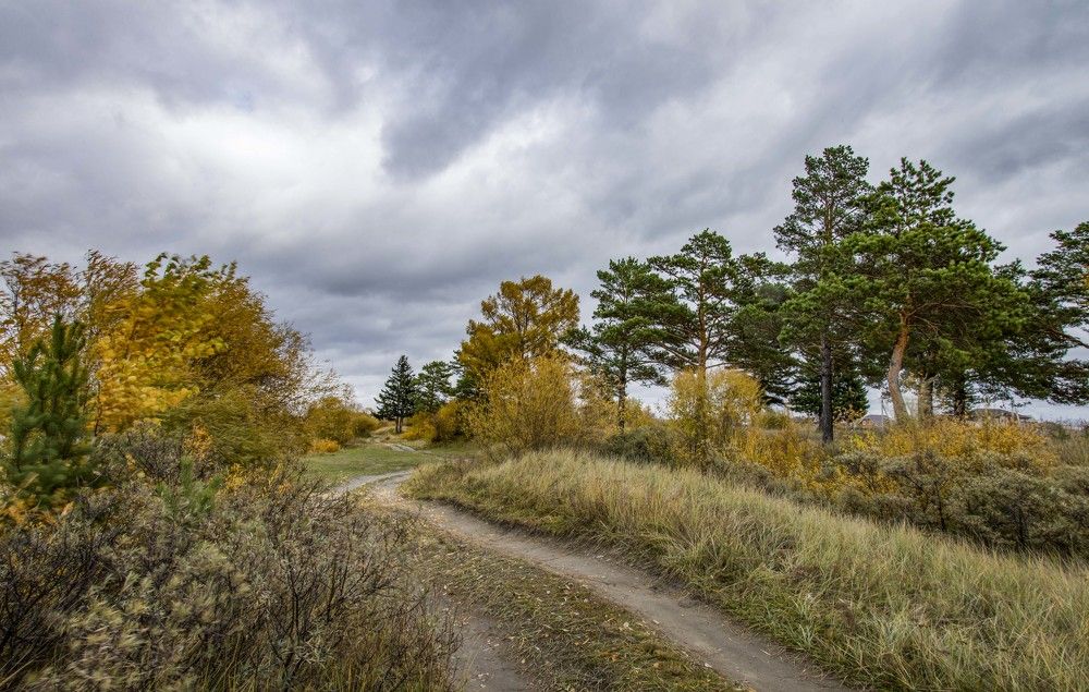 цвет настроенья - осень
