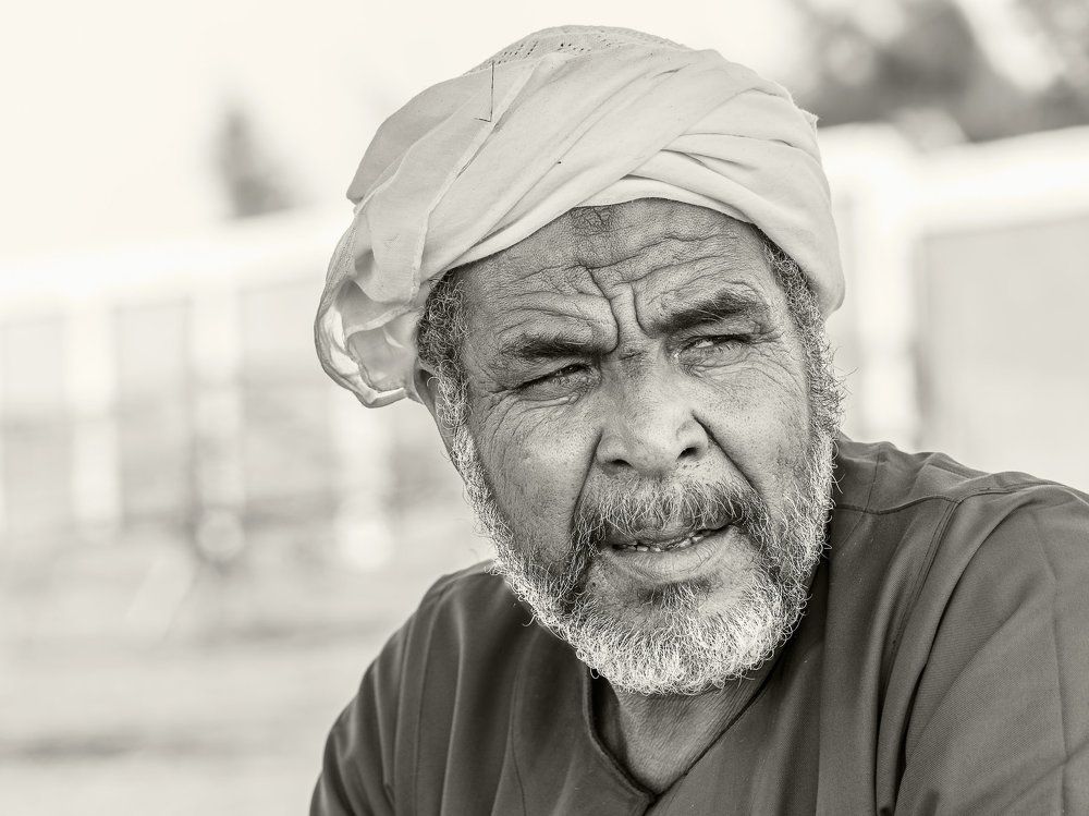 One of Camels Sellers have a deep look