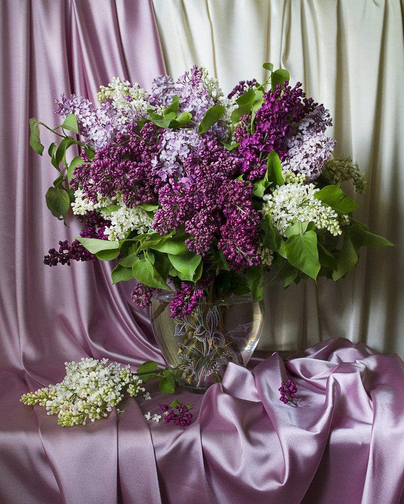 Аромат сирени.