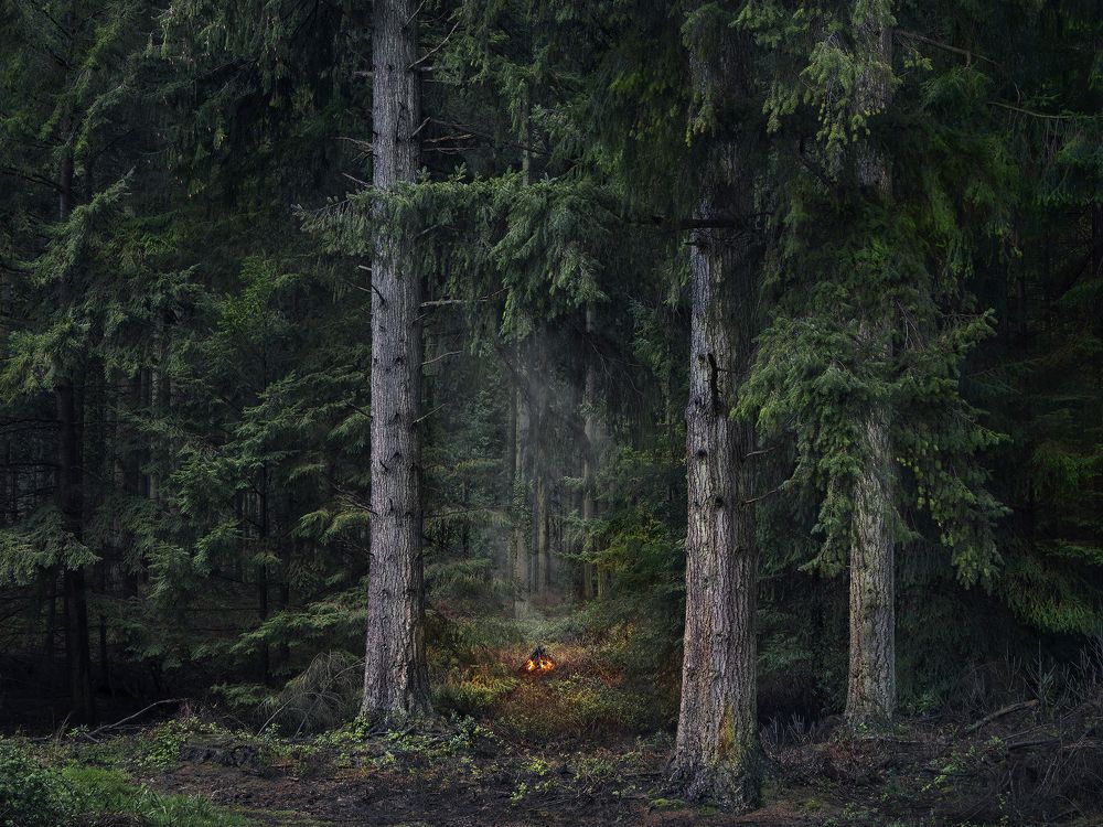 Fires 9, 2018