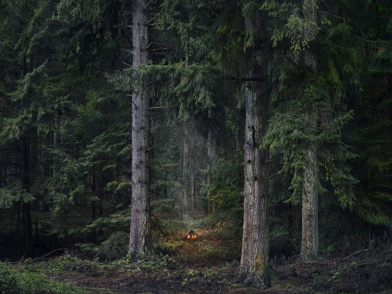 Fires 9, 2018