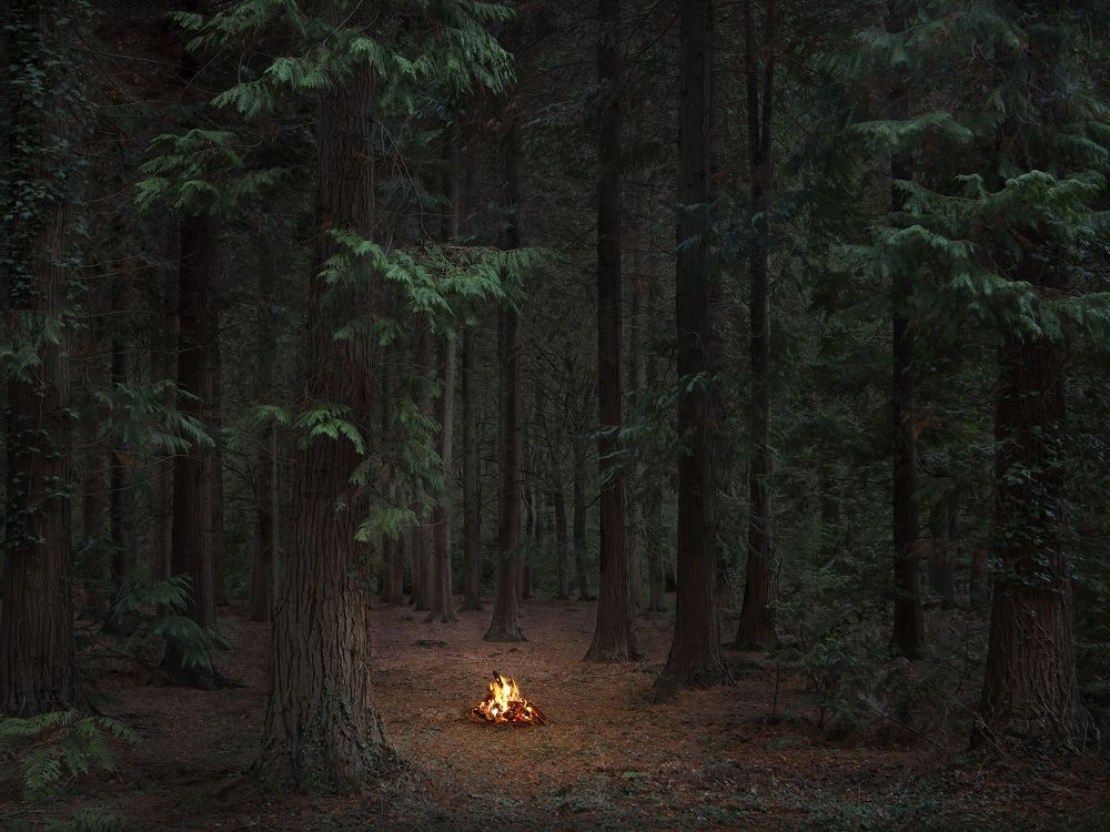 Fires 8, 2018