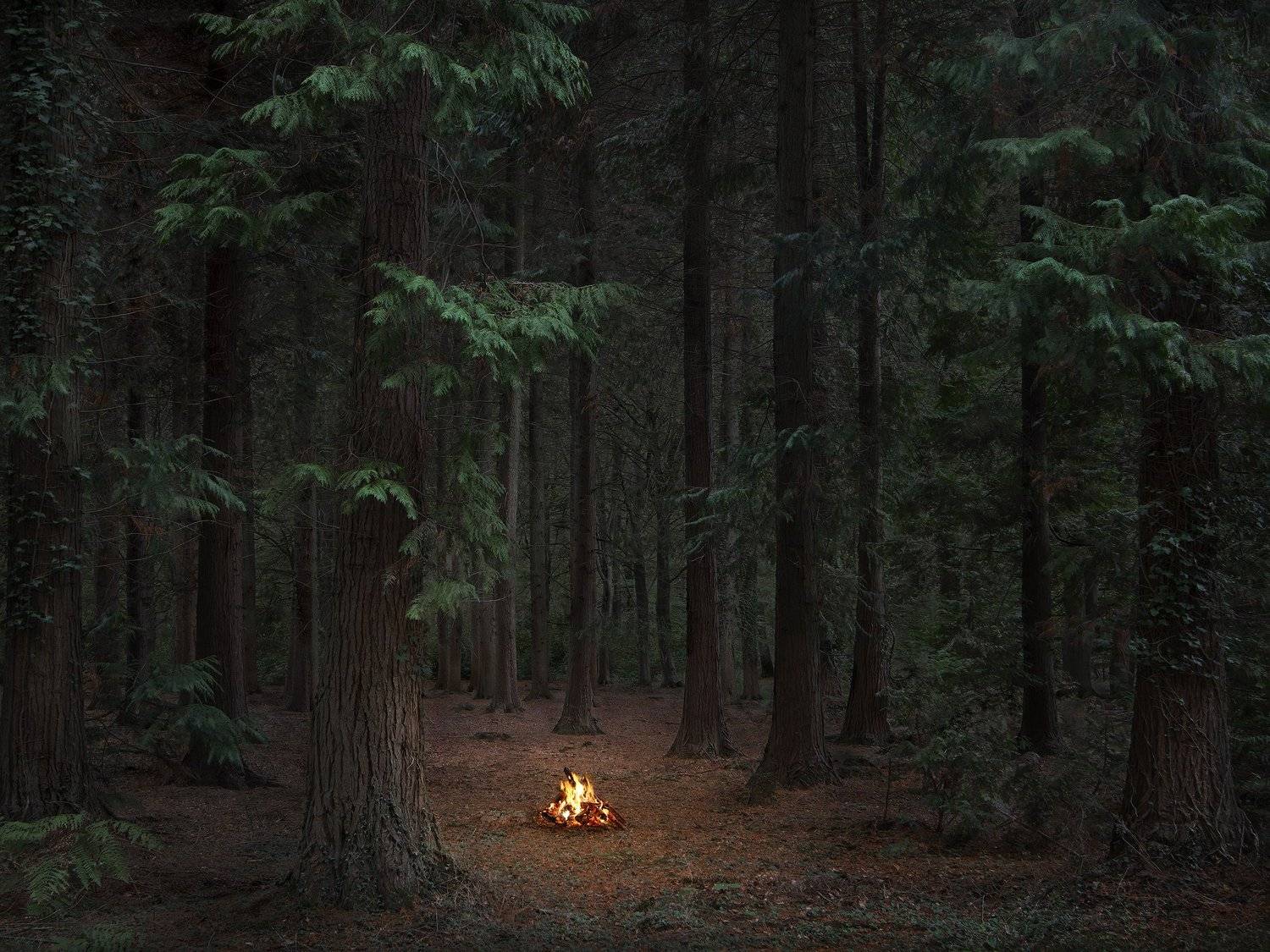 Fires 8, 2018