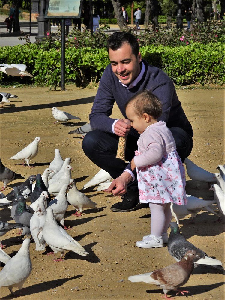 Любовь и голуби