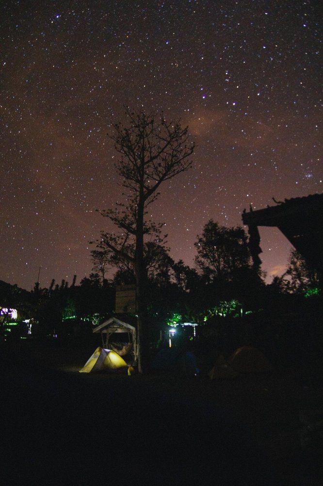 A Starry-Starry Night