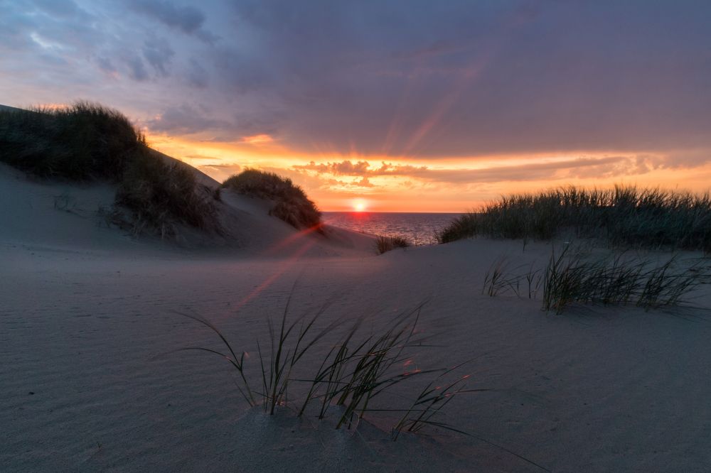 Рассвет над Курщской косой
