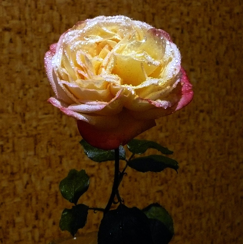 Photograph by леонид натапов