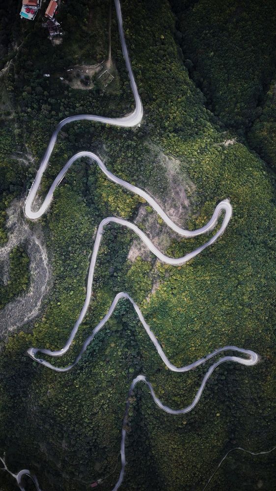 Дорога в Сигнахи