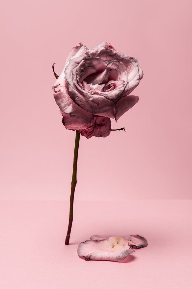 The end of the beginning