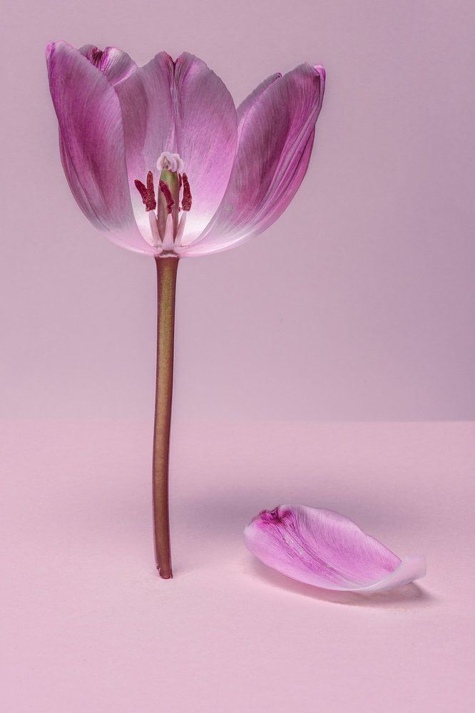 The end of the beginning