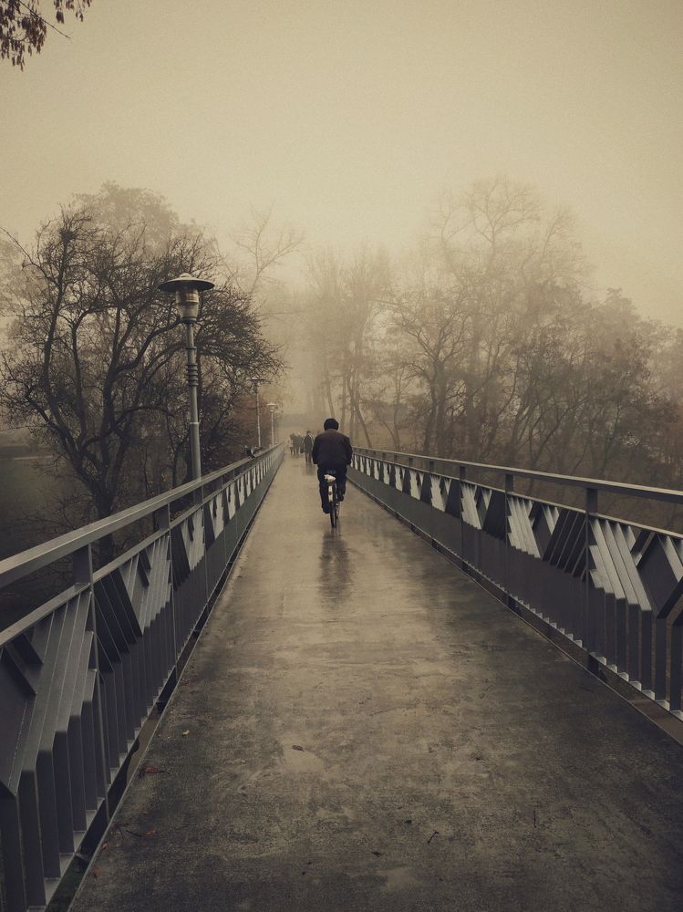 Туманное утро