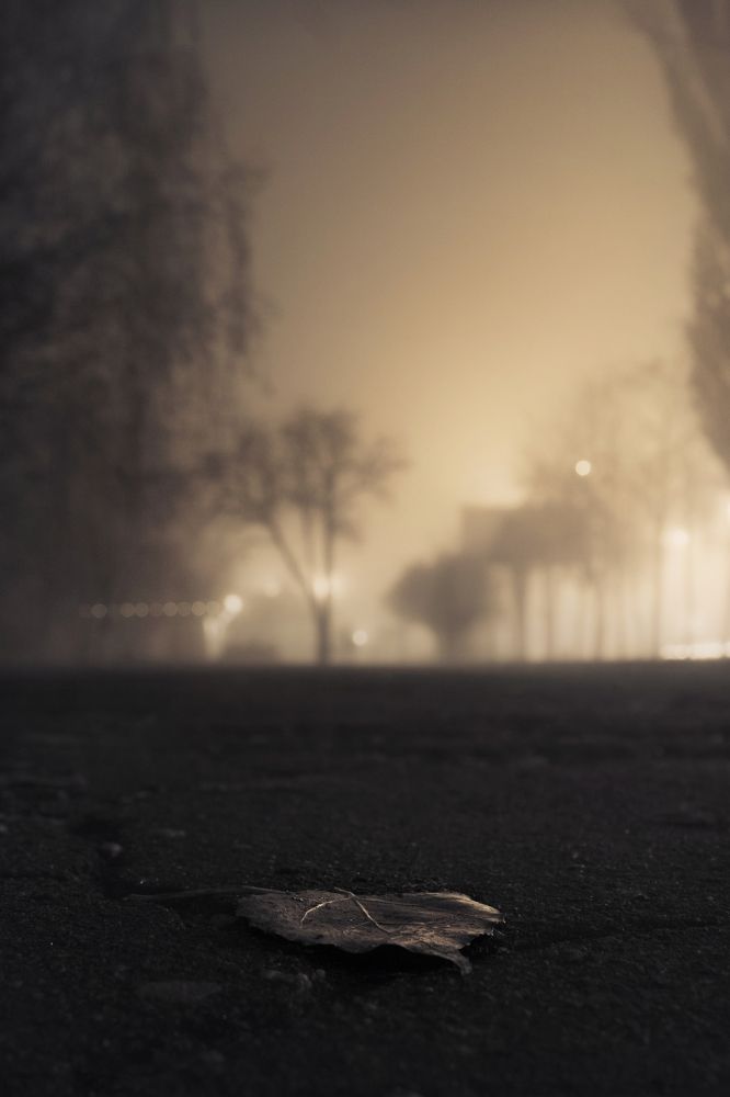 Photograph by Илья Григоренко