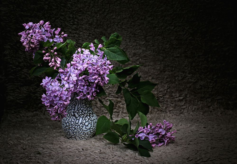 Сиреневый мотив