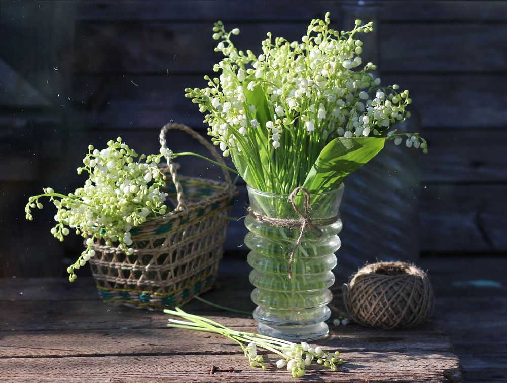 Lilies of the valley.