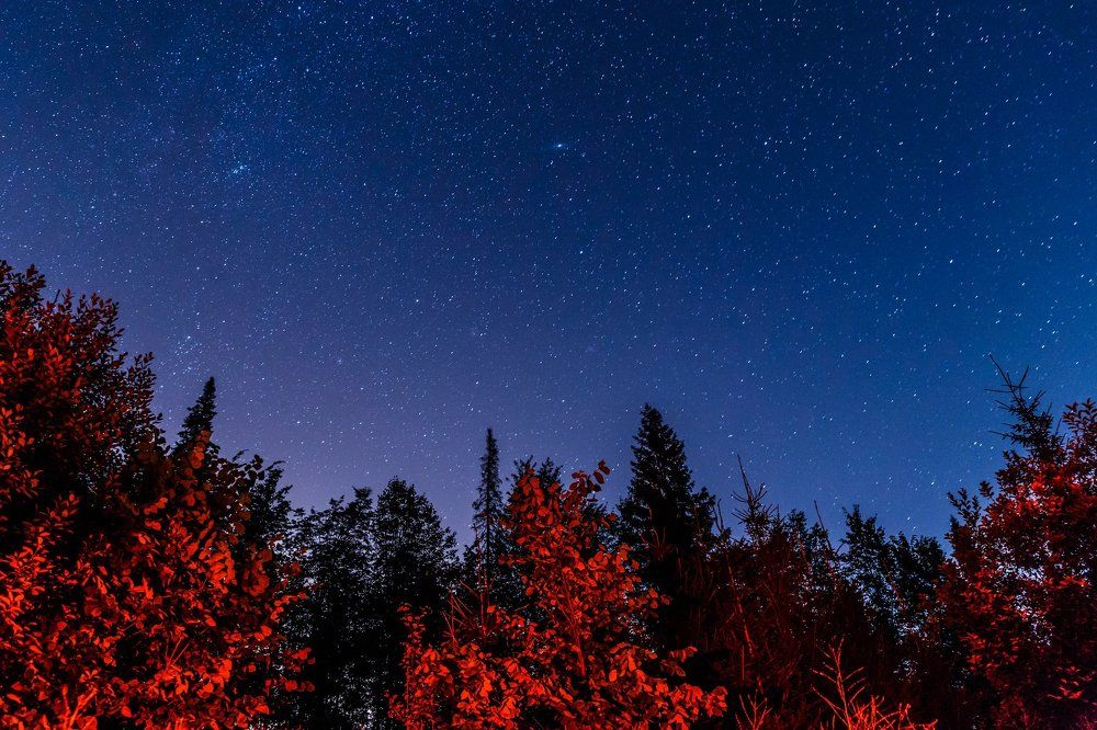 Photograph by Ильяс Бекмансуров