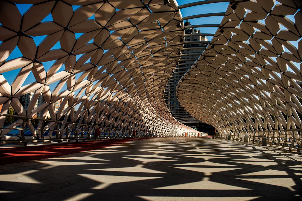New Fish bridge in Astana.