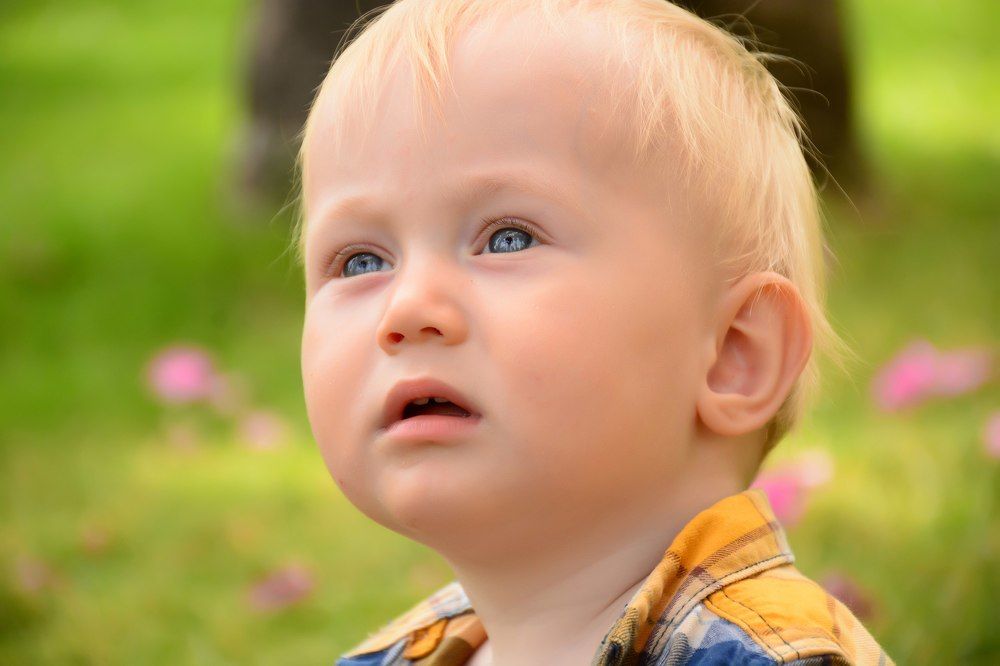 Photograph by Ksenia Ozdemir