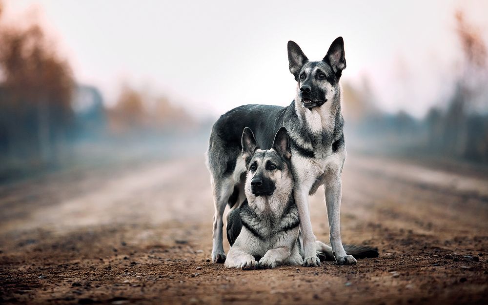 Под маминой защитой