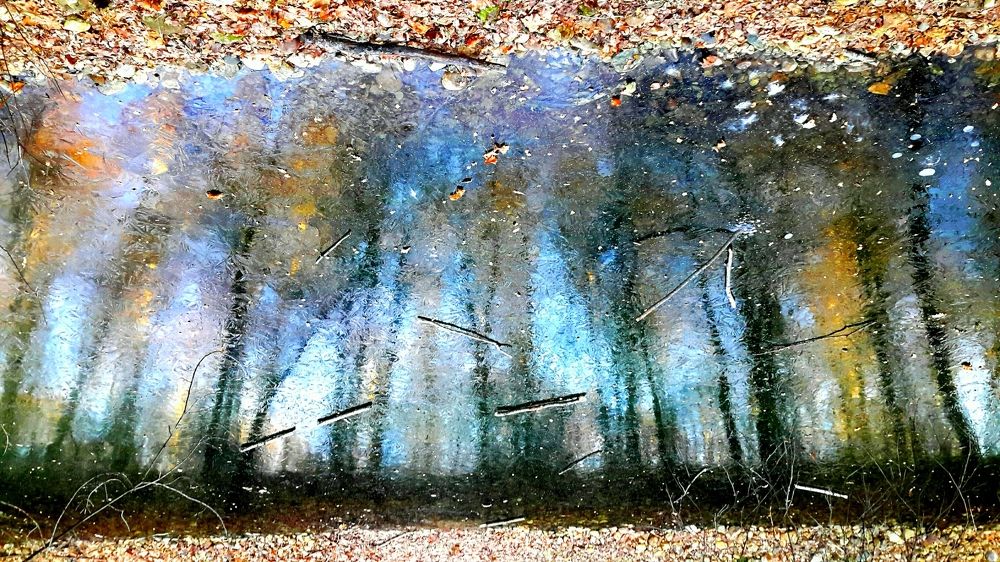 Ледяное зеркало природы