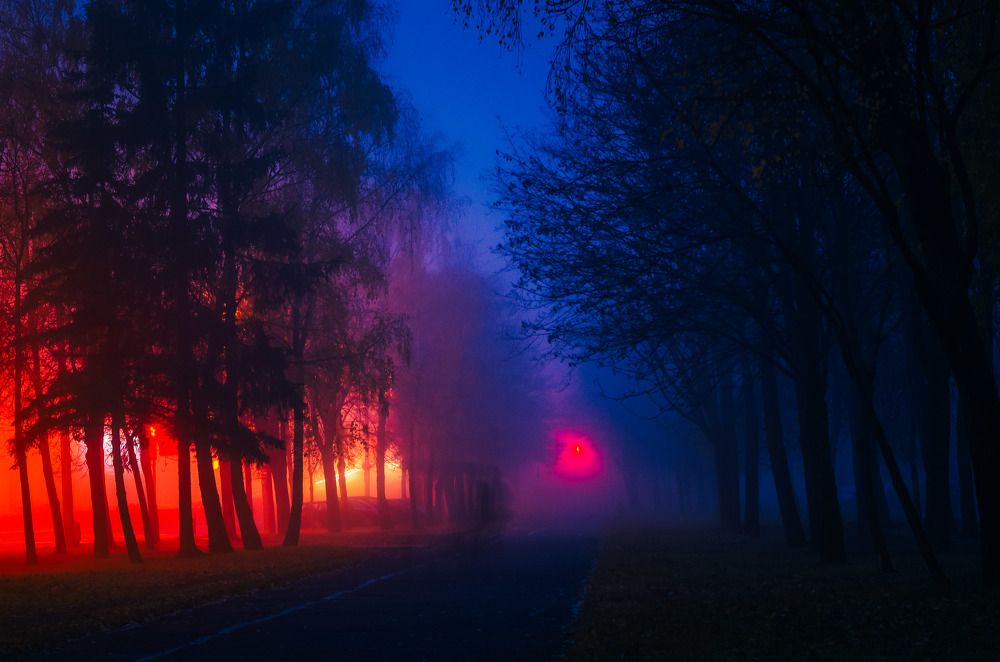 Photograph by Евгений Новицкий