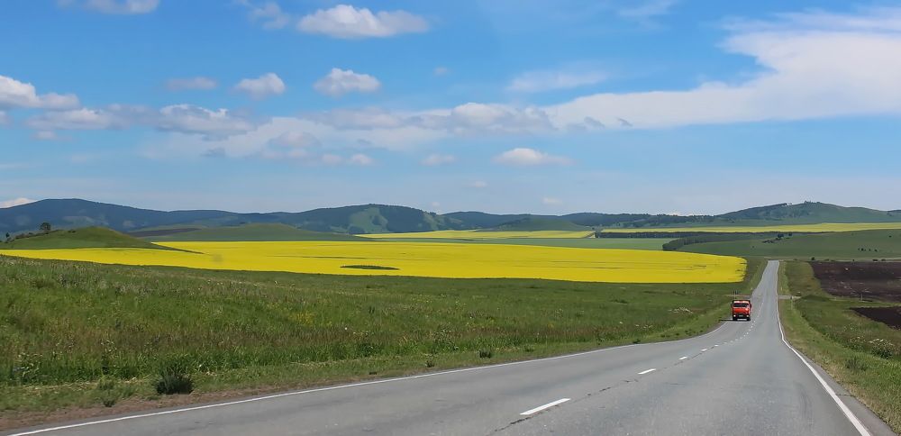 Сибирские поля.