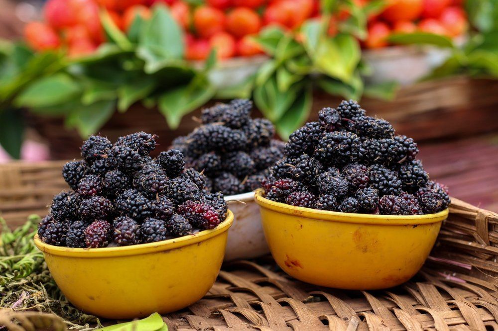 Photograph by Sandip Nalawade