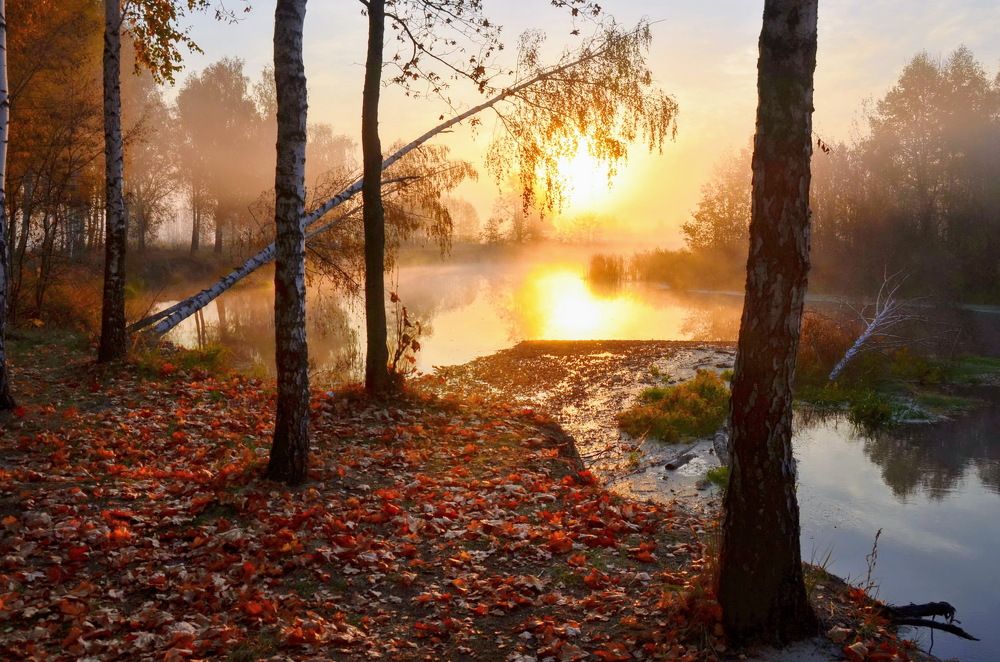 Утро туманное