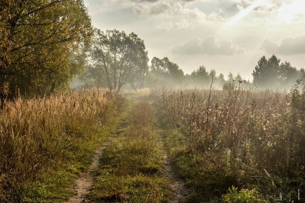 Раннее утро ранней осенью в Подмосковье