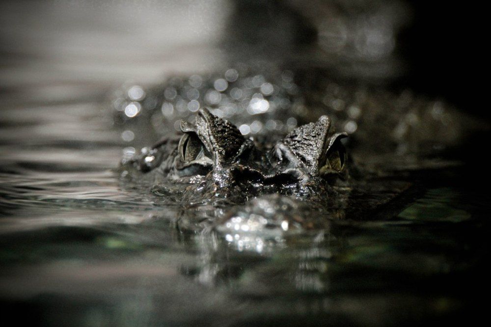 Опастность